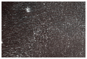 Local-to-Regional Context of Possible Phoenix Lander Landing Site