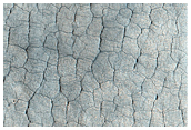Utopia Planitia Polygons