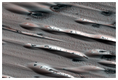 Defrosting Spots on Dunes in Chasma Boreale