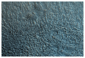 Unusually Large Gullies on Equator-Facing Slope of Crater