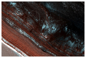 Chasma Boreale Scarp in Springtime