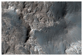 Bright Layers in Columbus Crater