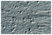 Distal End of Primary Flow Feature From the Southern Rim of Hale Crater