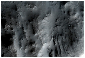 Well-Preserved Crater Inside Williams Crater
