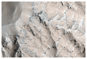 Western Olympus Mons Basal Scarp Ridges
