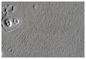 Ring and Cone Structures and Polygonal Terrain in Amazonis Planitia