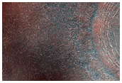 Northern Plains with Mounds and Filled Crater