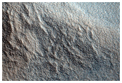 Gullies with Light-Toned Surfaces