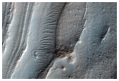 Ridged Reticulate Terrain in Hellas Basin