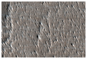 Lava Flows from Pavonis Mons