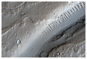 Summit of Low Shield East of Jovis Tholus