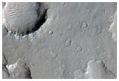 Ridges and Grooves on Rafted Plates in Amazonis Planitia