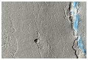 Wrinkle Ridges in Western Elysium Planitia