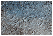 Hellas Planitia