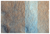 Diverse Features in Utopia Region