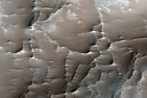 Ridges on Arsia Mons