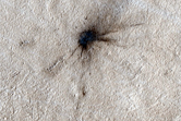 Fresh Impact Formed between February 2005 and March 2008
