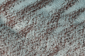 North Polar Region