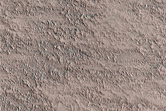 Polar Plains