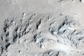 Preserved Fans in Unnamed Crater in Tartarus Region
