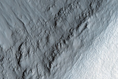 Well-Preserved Gullied Impact Crater in Utopia Planitia