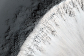 Three Impact Craters in Daedalia Planum