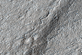 Ridge in Amazonis Region