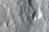 Crater Rim Northeast of Elysium Region