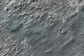 Light-Toned Deposit with Polygons in Large Crater