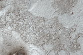 Lava Flow Boundary in Elysium Planitia