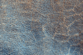 Utopia Planitia Crater with Candidate Pingos
