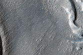 Debris Aprons in Erebus Montes