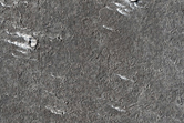Small Channels in Elysium Planitia
