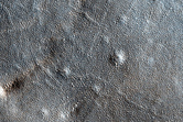 Lobate Debris Apron with Ridge-Like Structures in Tempe Terra