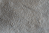 Textured Plain in Arcadia Planitia