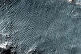 Gullies on Crater Wall