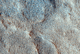 Sample of Rocky Surface Texture