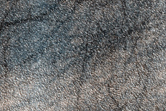 Rocks