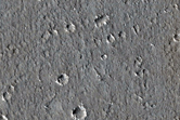 Utopia Planitia Sample