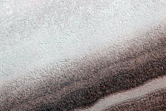 North Polar Region
