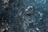 Dome-Shaped Feature
