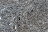 Landforms among Valleys in Arcadia Planitia