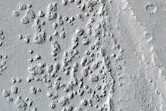 Relatively Deeply Eroded Portion of Marte Vallis