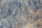 Ridged Plains