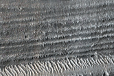Flow Ejecta of Bacolor Crater