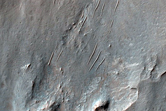 Tyrrhena Terra Crater with Phyllosilicate-Rich Ejecta