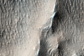 Abundant Linear Gullies in Terrains West of Arsia Mons