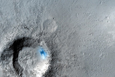 Recent Impact Crater in the Phlegra Dorsa and Tartarus Montes Regions