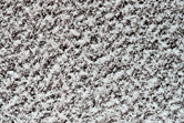 Crater in North Polar Cap in CTX Image