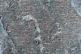 Light-Toned Layering in Plains South of Melas Chasma